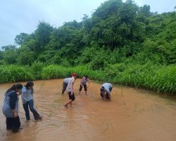 Std VIII Field trip to Forganic farm Khopoli